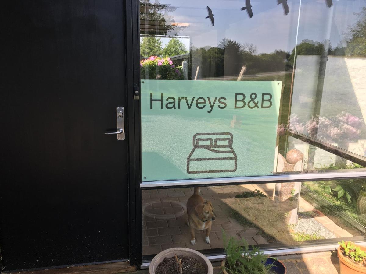 Harvey'S Bed & Breakfast Hjorring Luaran gambar